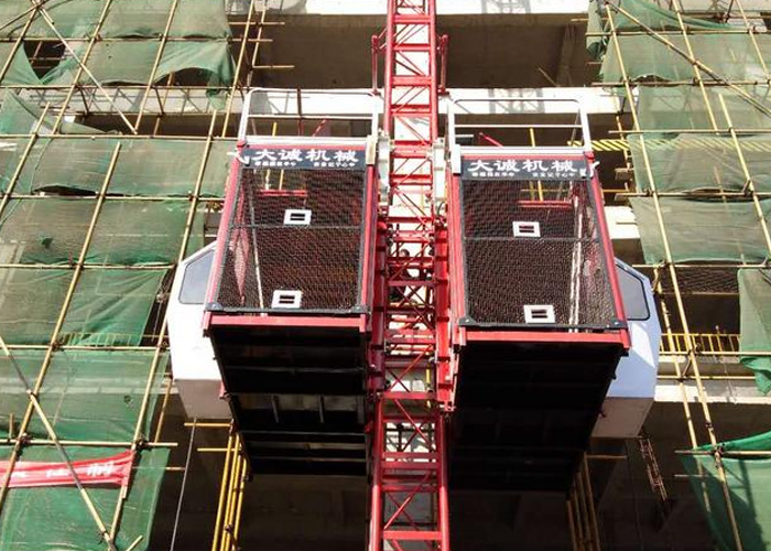 物競(jìng)天擇，適者生存